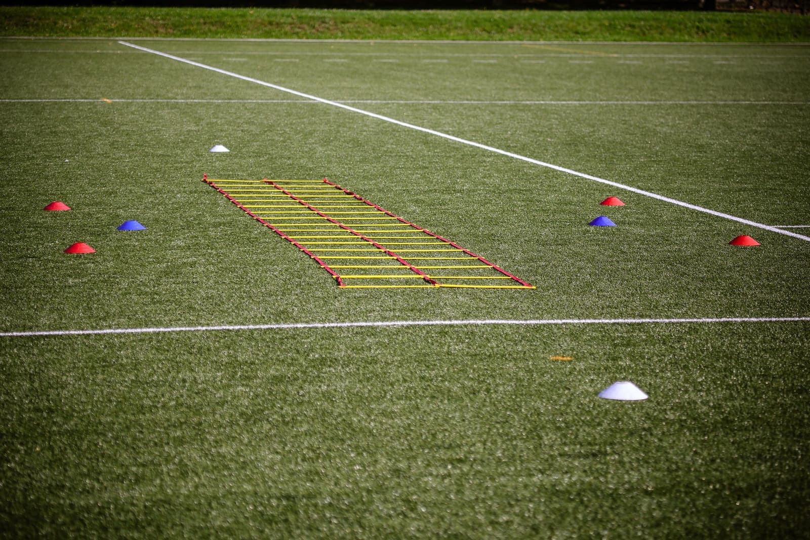 Training cones and an agility ladder laid out on a football pitch